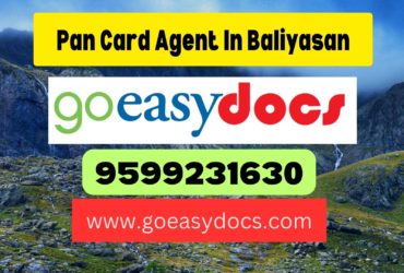 Pan Card Agent Consultant in Baliyasan 8851415812