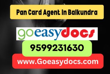 Pan Card Agent Consultant in Balkundra 8851415812