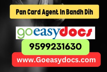 Pan Card Agent Consultant in Bandh Dih 8851415812