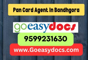 Pan Card Agent Consultant in Bandhgora 8851415812