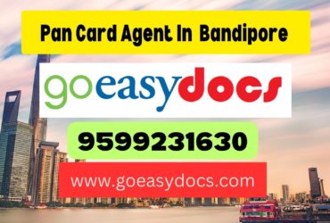 Pan Card Agent Consultant in Bandipore 8851415812