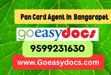 Pan Card Agent Consultant in Bangarapet 8851415812