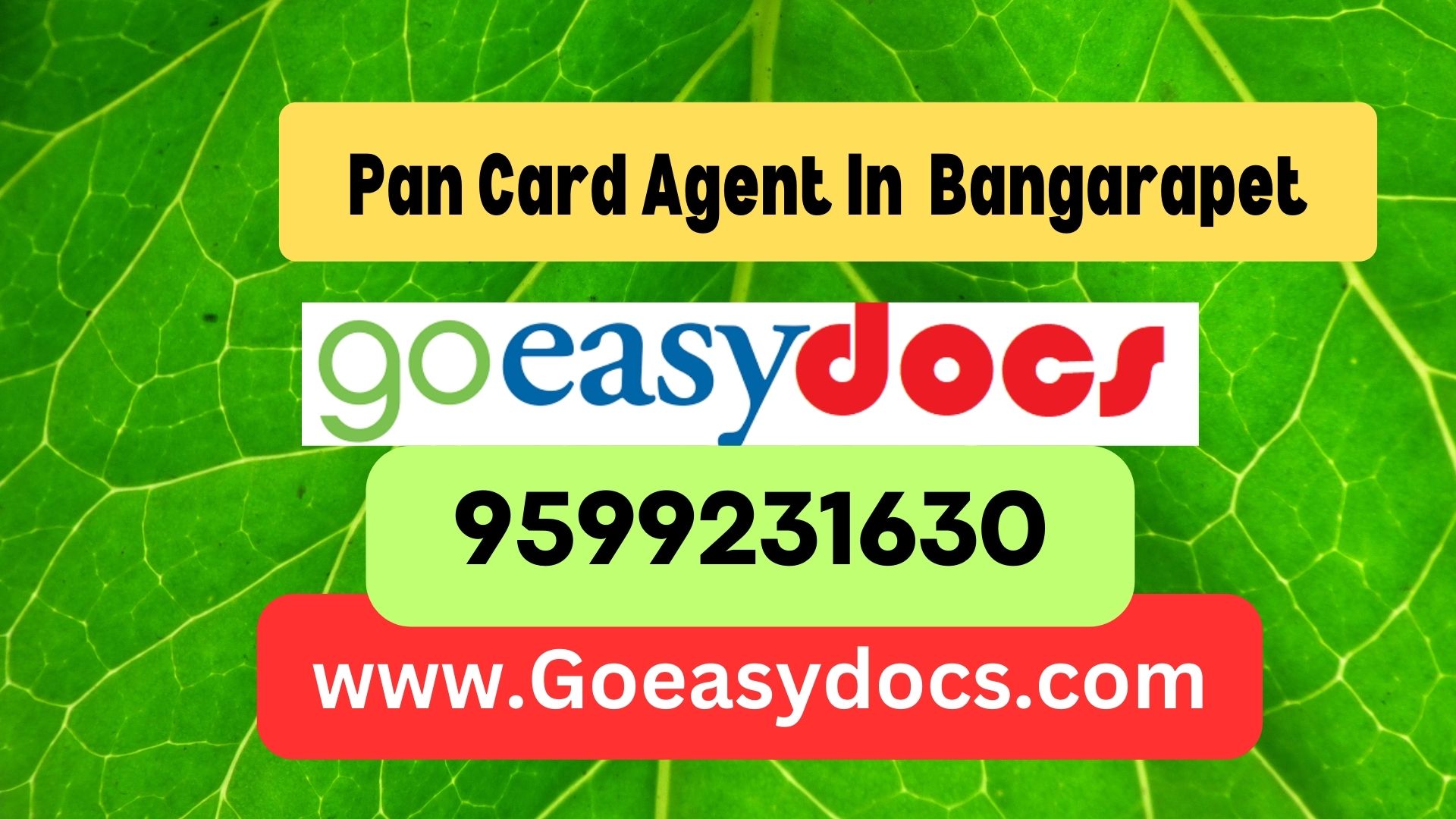 Pan Card Agent Consultant in Bangarapet 8851415812