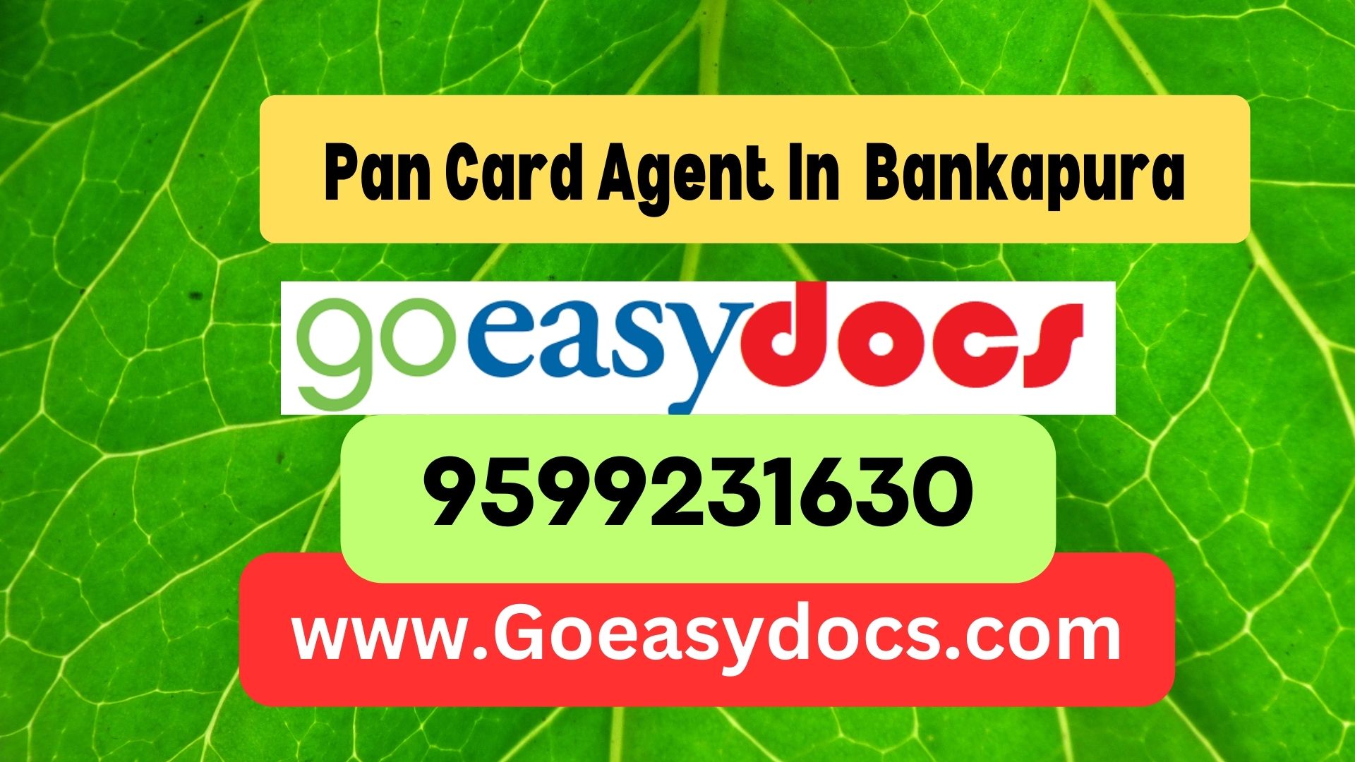 Pan Card Agent Consultant in Bankapura 8851415812