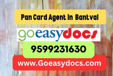 Pan Card Agent Consultant in Bantval  8851415812