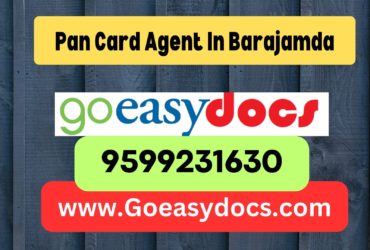 Pan Card Agent Consultant in Barajamda 8851415812