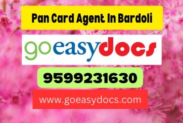 Pan Card Agent Consultant in Bardoli 8851415812