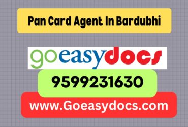 Pan Card Agent Consultant in Bardubhi 8851415812