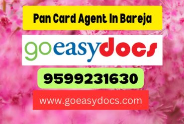 Pan Card Agent Consultant in Bareja 8851415812