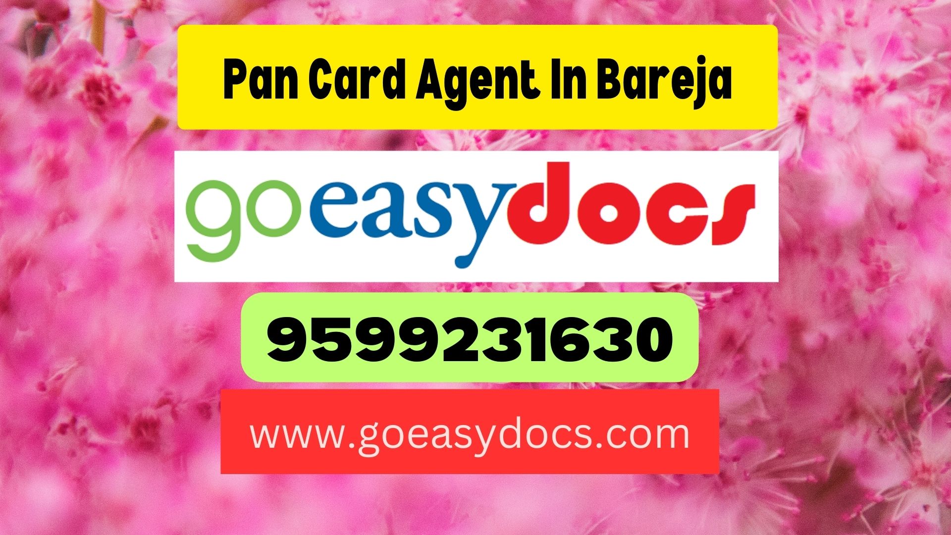 Pan Card Agent Consultant in Bareja 8851415812