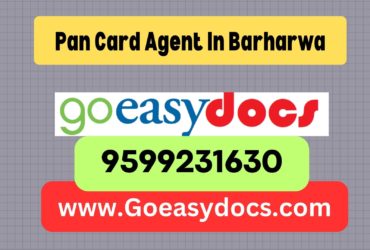 Pan Card Agent Consultant in Barharwa 8851415812