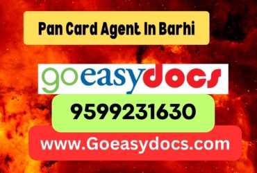 Pan Card Agent Consultant in Barhi 8851415812