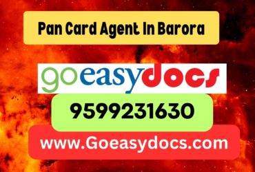 Pan Card Agent Consultant in Barora 8851415812