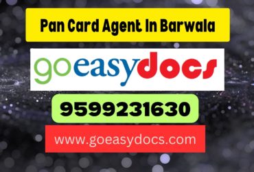 Pan Card Agent Consultant in Barwala 8851415812