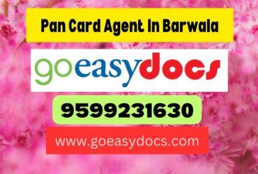 Pan Card Agent Consultant in Barwala 8851415812