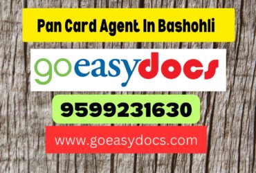 Pan Card Agent Consultant in Bashohli  8851415812