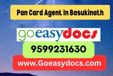 Pan Card Agent Consultant in Basukinath 8851415812