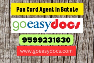 Pan Card Agent Consultant in Batote 8851415812