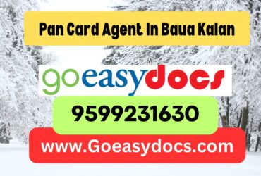 Pan Card Agent Consultant in Baua Kalan 8851415812