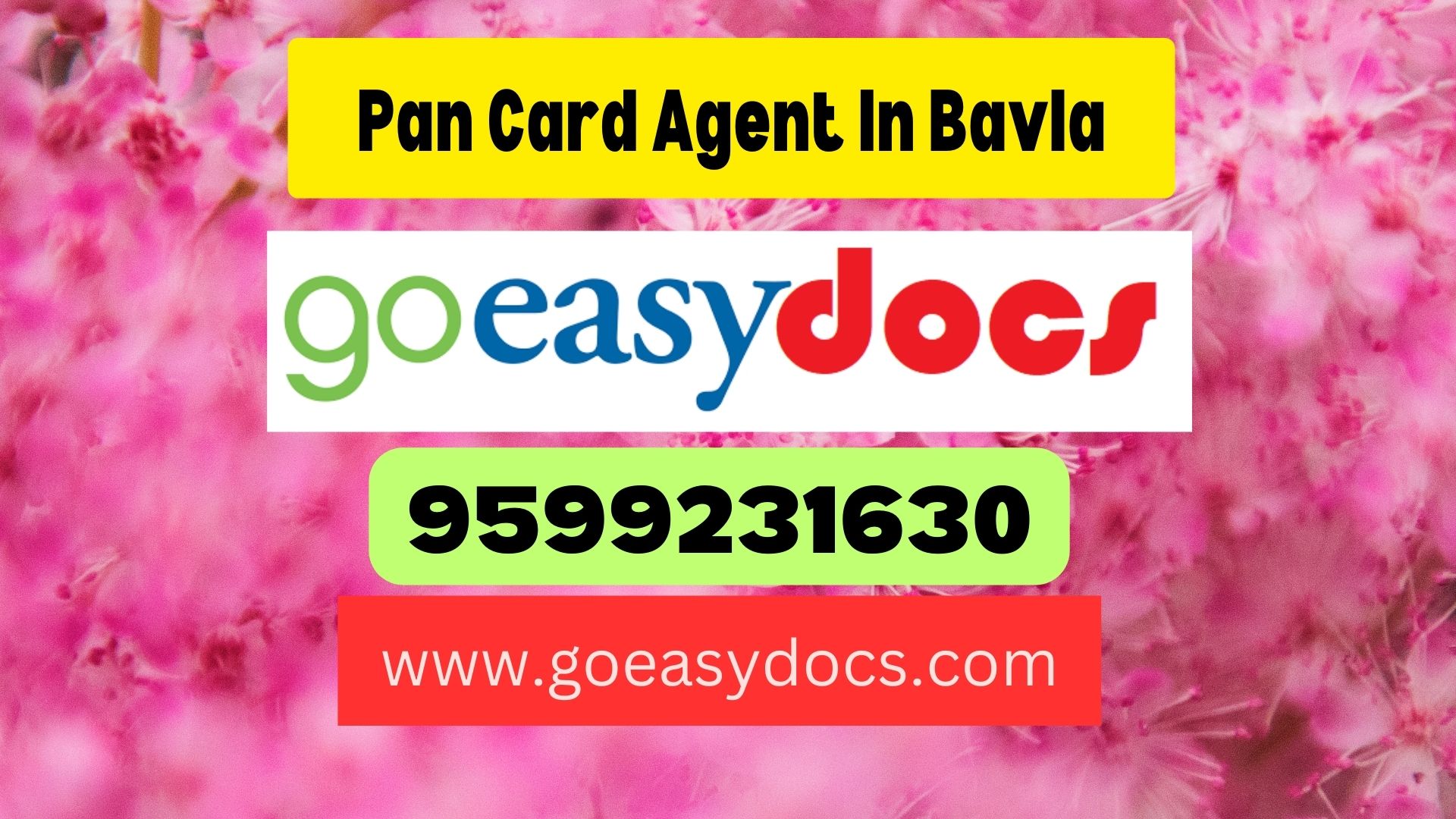 Pan Card Agent Consultant in Bavla 8851415812