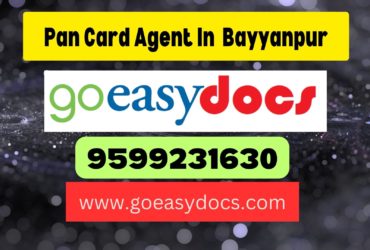 Pan Card Agent Consultant in Bayyanpur 8851415812