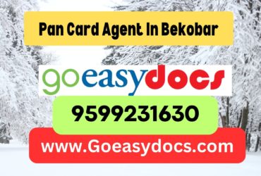 Pan Card Agent Consultant in Bekobar 8851415812