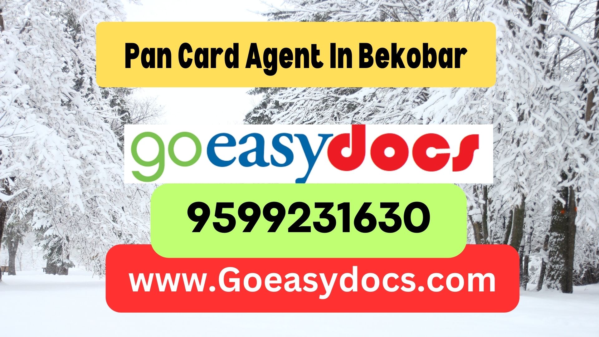 Pan Card Agent Consultant in Bekobar 8851415812