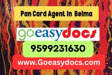 Pan Card Agent Consultant in Belma 8851415812