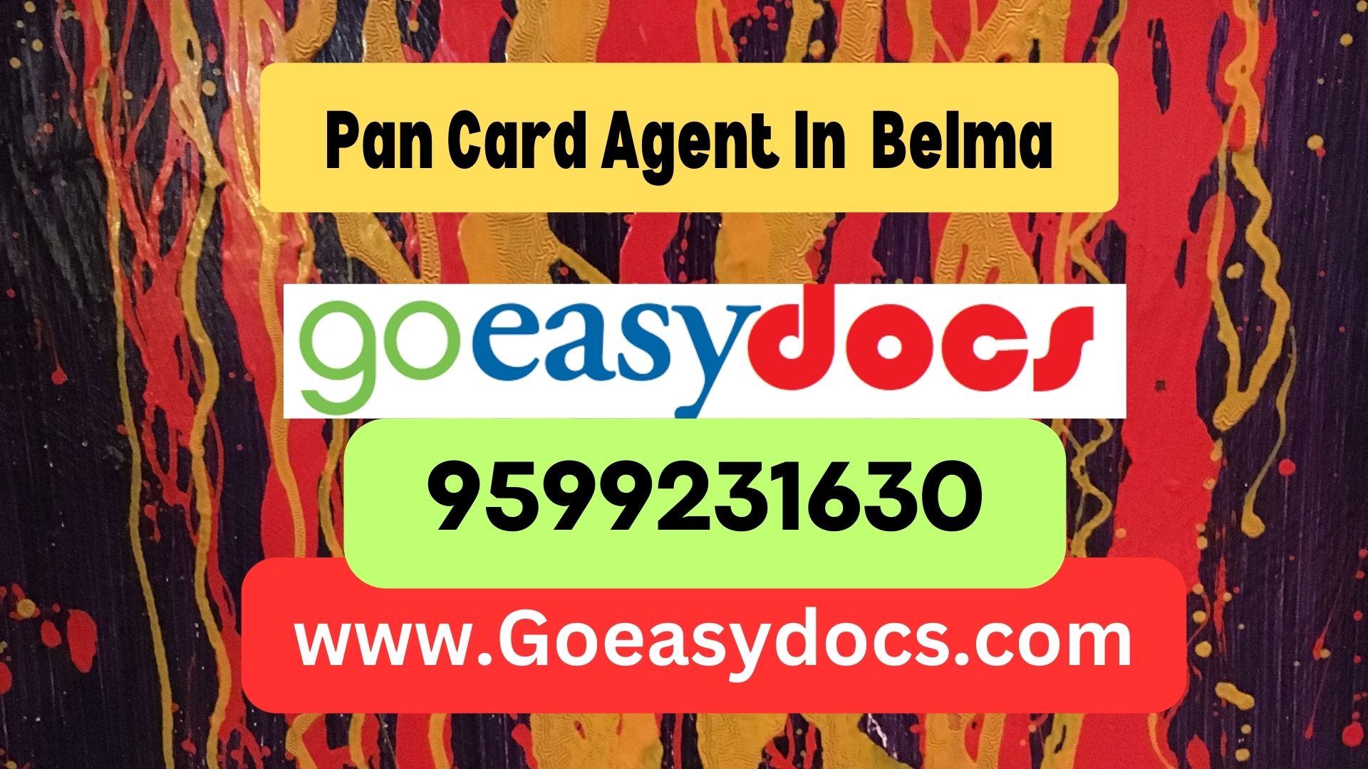 Pan Card Agent Consultant in Belma 8851415812