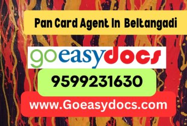 Pan Card Agent Consultant in Beltangadi 8851415812