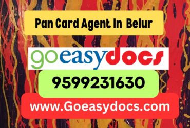 Pan Card Agent Consultant in Belur 8851415812