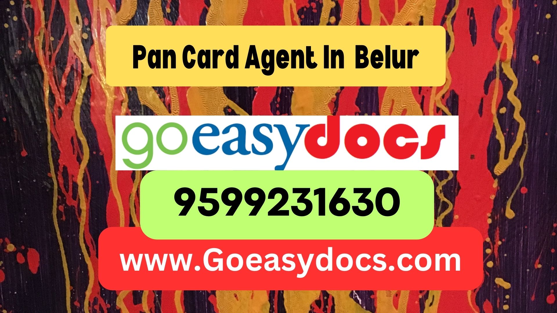 Pan Card Agent Consultant in Belur 8851415812