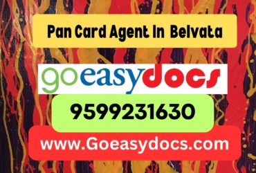 Pan Card Agent Consultant in Belvata 8851415812