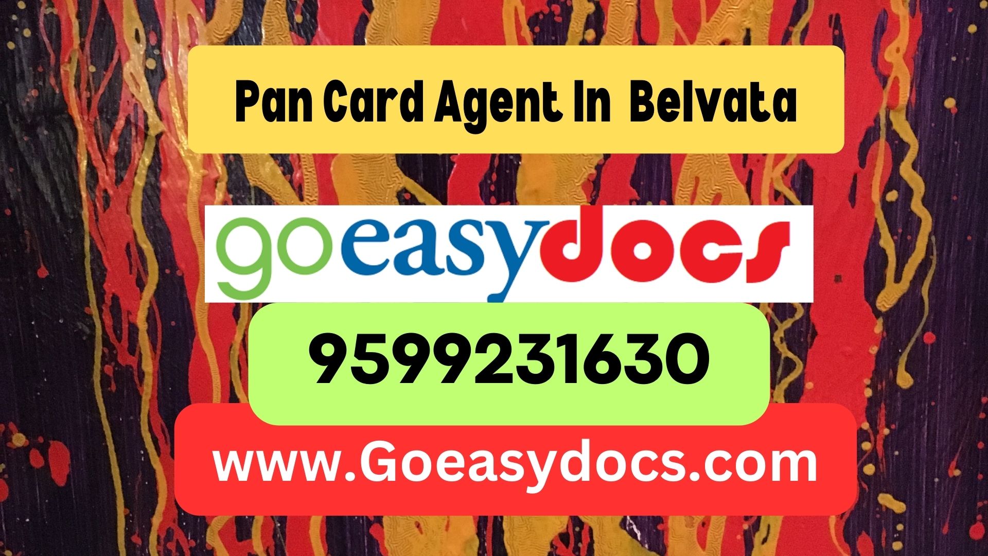 Pan Card Agent Consultant in Belvata 8851415812