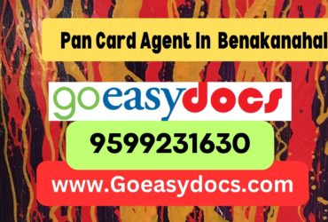 Pan Card Agent Consultant in Benakanahalli 8851415812