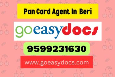 Pan Card Agent Consultant in Beri 8851415812