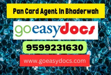 Pan Card Agent Consultant in Bhaderwah 8851415812