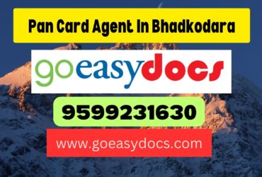 Pan Card Agent Consultant in Bhadkodara 8851415812