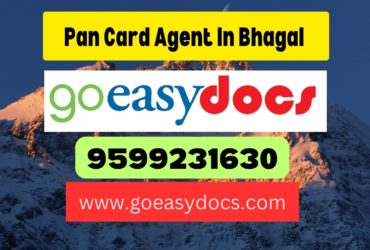 Pan Card Agent Consultant in Bhagal 8851415812