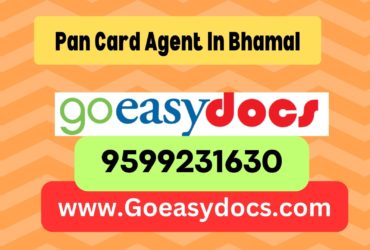 Pan Card Agent Consultant in Bhamal 8851415812