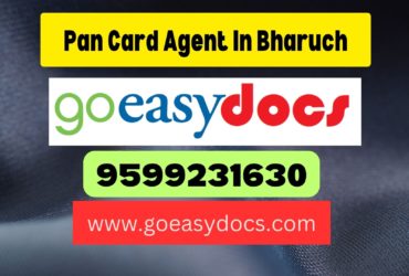 Pan Card Agent Consultant in Bharuch 8851415812