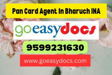 Pan Card Agent Consultant in Bharuch INA 8851415812