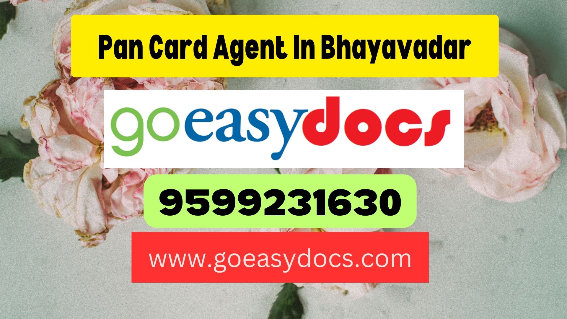 Pan Card Agent Consultant in Bhayavadar 8851415812