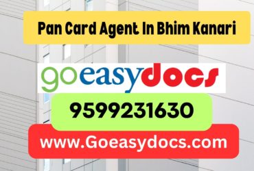 Pan Card Agent Consultant in Bhim Kanari 8851415812