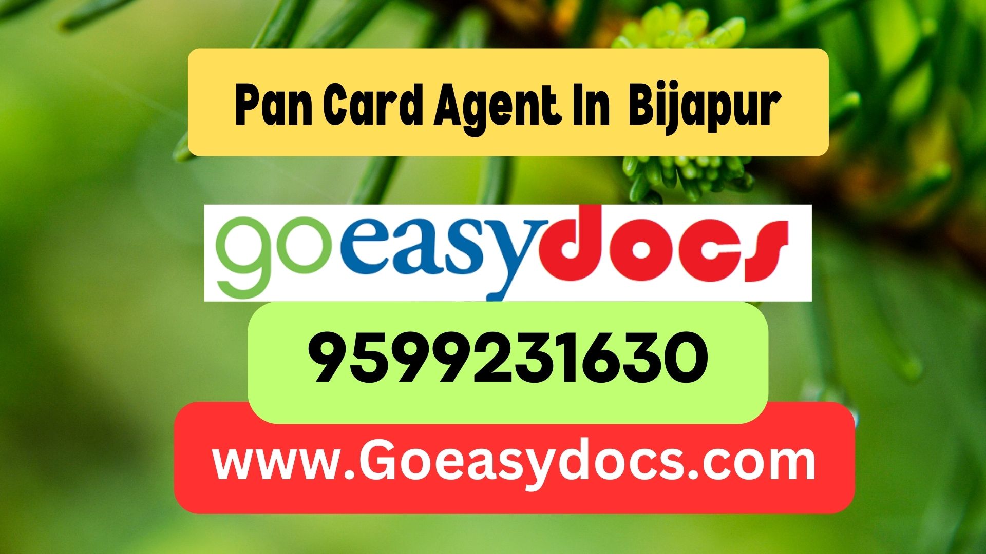 Pan Card Agent Consultant in Bijapur 8851415812