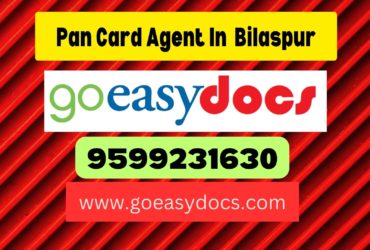 Pan Card Agent Consultant in Bilaspur 8851415812