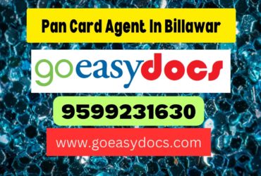 Pan Card Agent Consultant in Billawar 8851415812