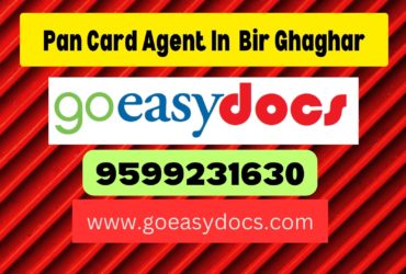 Pan Card Agent Consultant in Bir Ghaghar 8851415812