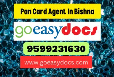 Pan Card Agent Consultant in Bishna 8851415812