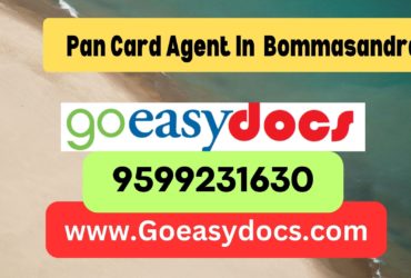 Pan Card Agent Consultant in Bommasandra 8851415812